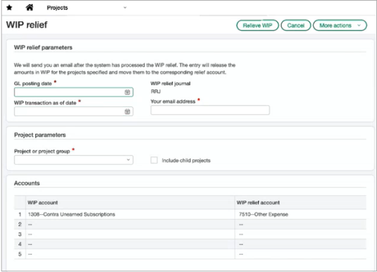 Enter parameters to use when generating WIP relief